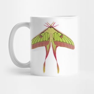 Chinese Moon Moth Mug